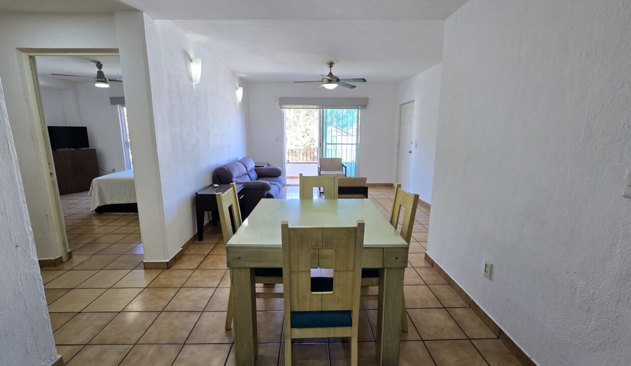 Apartment Madera 4 - Lazaro Cardenas Vallarta Dream Rentals (11)