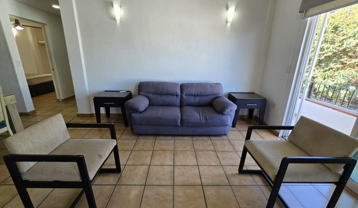 Apartment Madera 4 - Lazaro Cardenas Vallarta Dream Rentals (2)