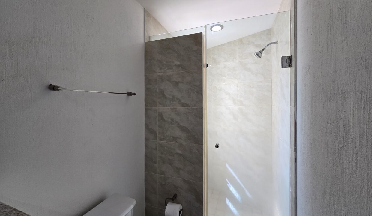 Apartment Madera 4 - Lazaro Cardenas Vallarta Dream Rentals (20)