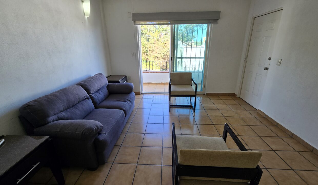 Apartment Madera 4 - Lazaro Cardenas Vallarta Dream Rentals (5)