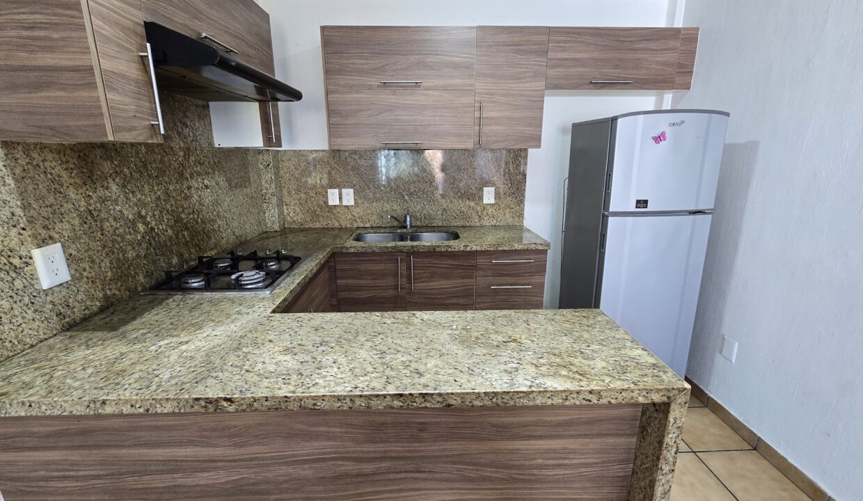 Apartment Madera 4 - Lazaro Cardenas Vallarta Dream Rentals (8)