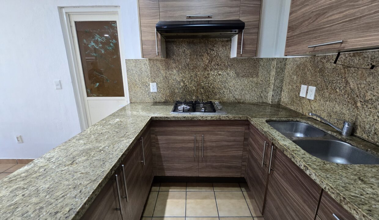 Apartment Madera 4 - Lazaro Cardenas Vallarta Dream Rentals (9)