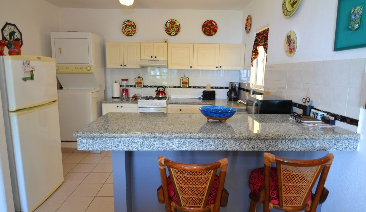Condo Selva Alta 7 - 5 de Diciembre Puerto Vallarta Vacation Condo Rental (42)