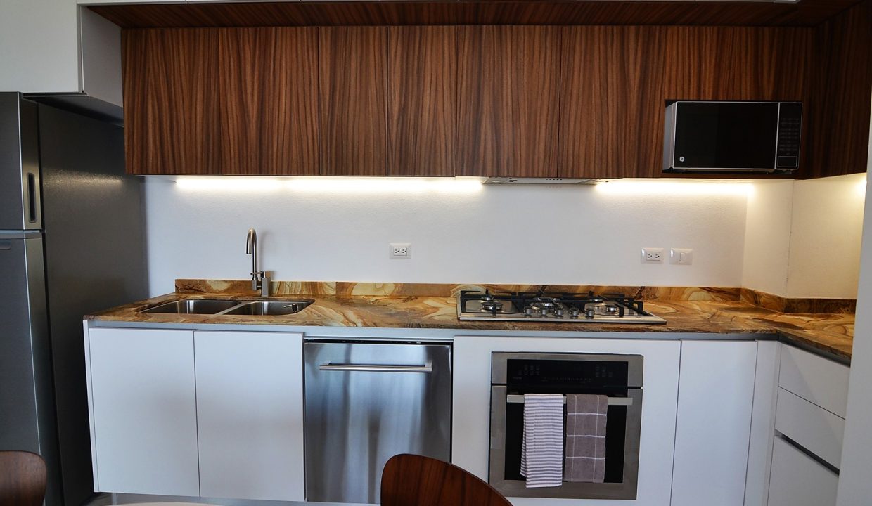 Condo Avida 6 - Fully Furnished Condo For Rent Puerto Vallarta Dream (23)