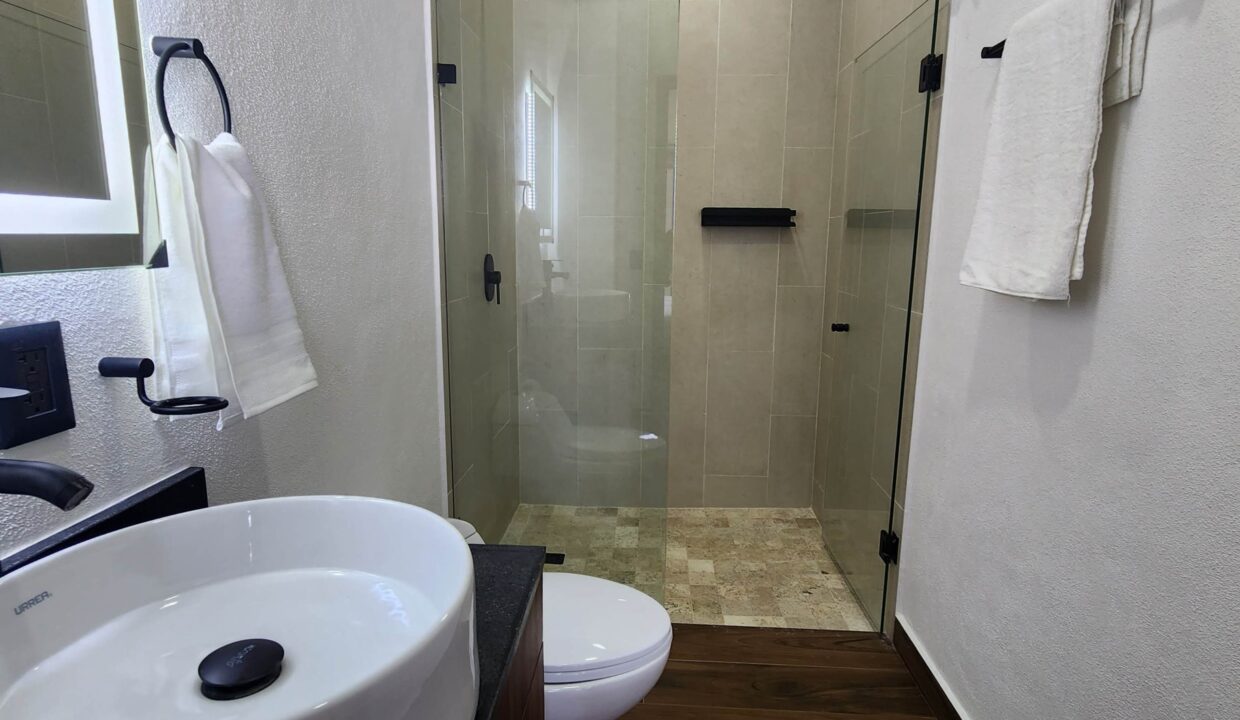 Condo 5 de Diciembre PH - 2BD 3BA For Rent Vallarta Dream (18)