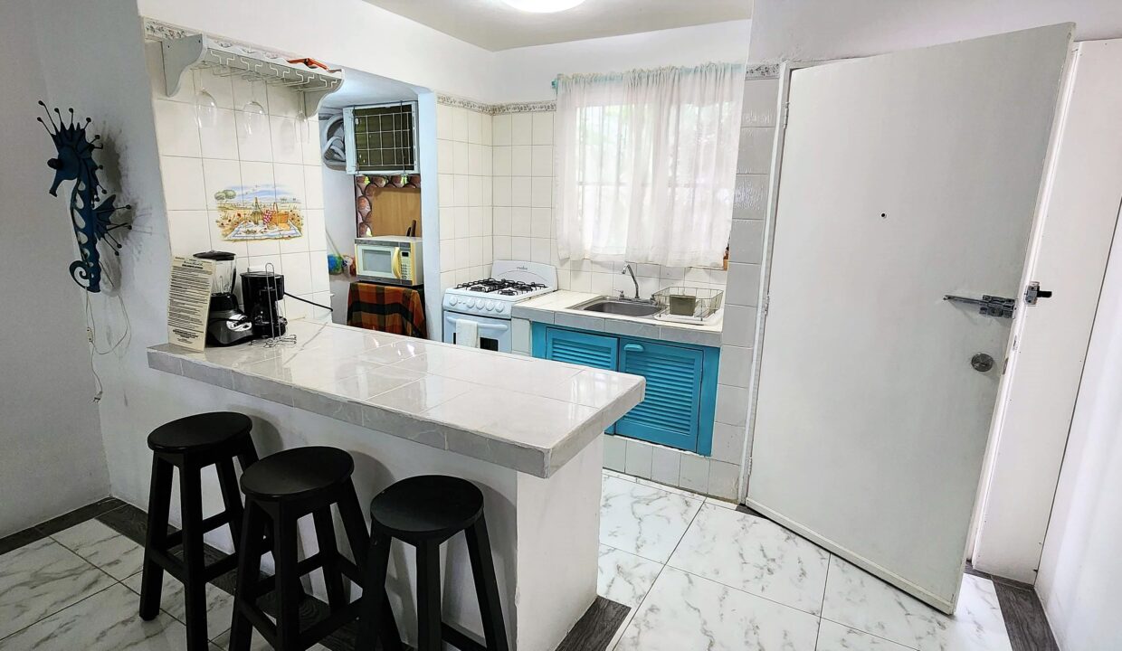 Condo Loma del Mar 2BD 1BA Romantic Zone For Rent Vallarta Dream Furnished (2)