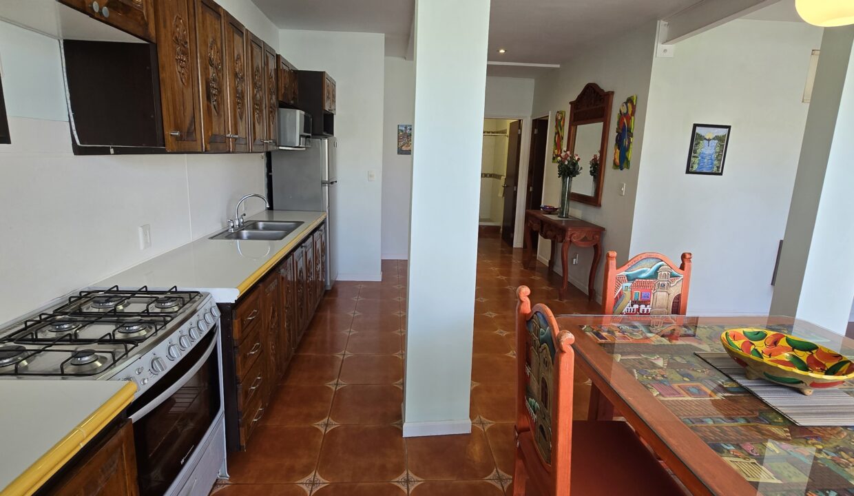 Condo Pericos 1 - Hotel Zone Puerto Vallarta For Rent Vallarta Dream (14)