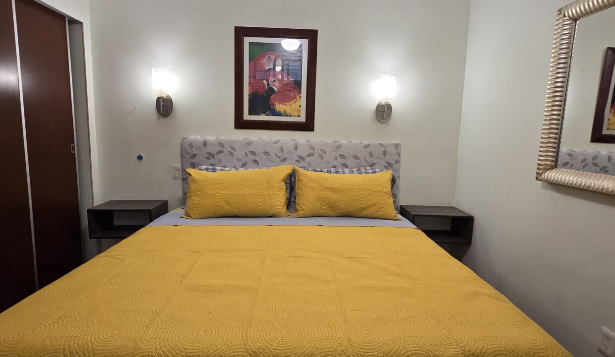 Condo Pericos 1 - Hotel Zone Puerto Vallarta For Rent Vallarta Dream (39)