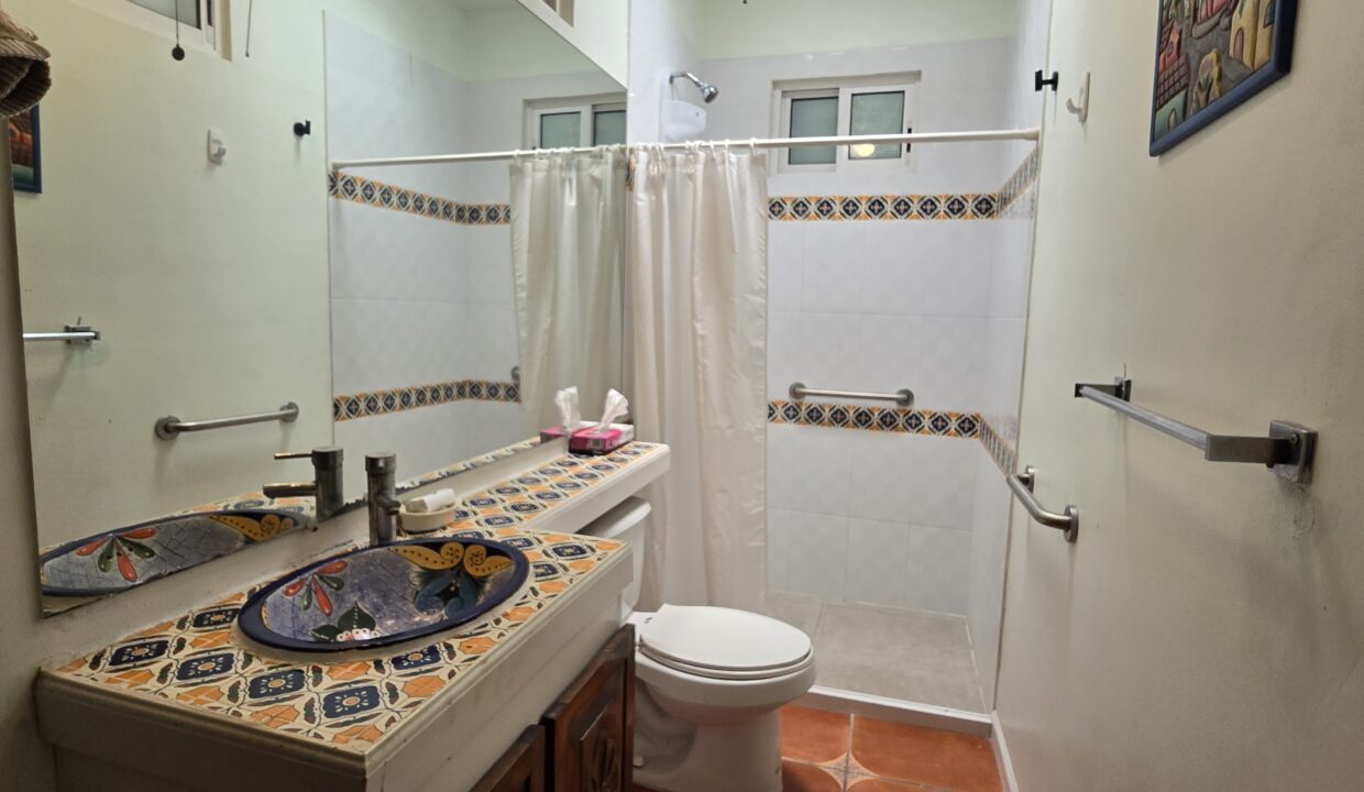 Condo Pericos 1 - Hotel Zone Puerto Vallarta For Rent Vallarta Dream (44)