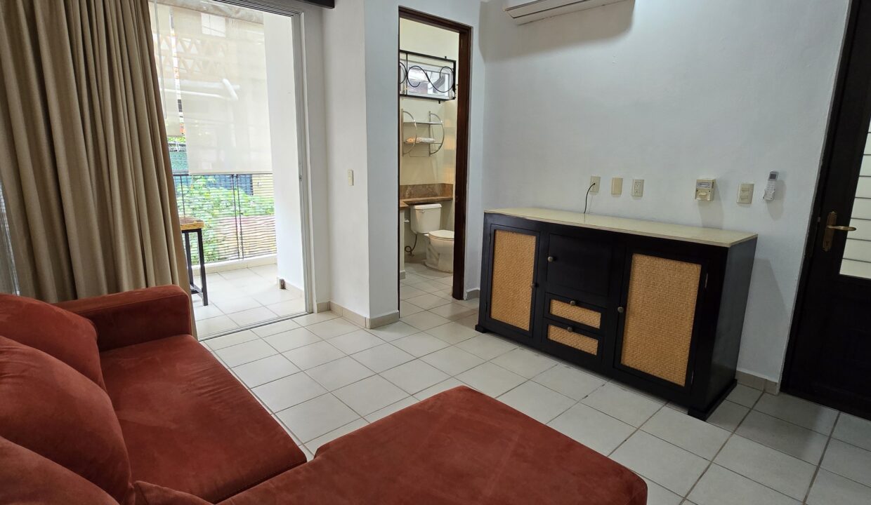 Apartment Buenos Aires 2 - 2BD 2BA Vallarta Dream Rentals (25)