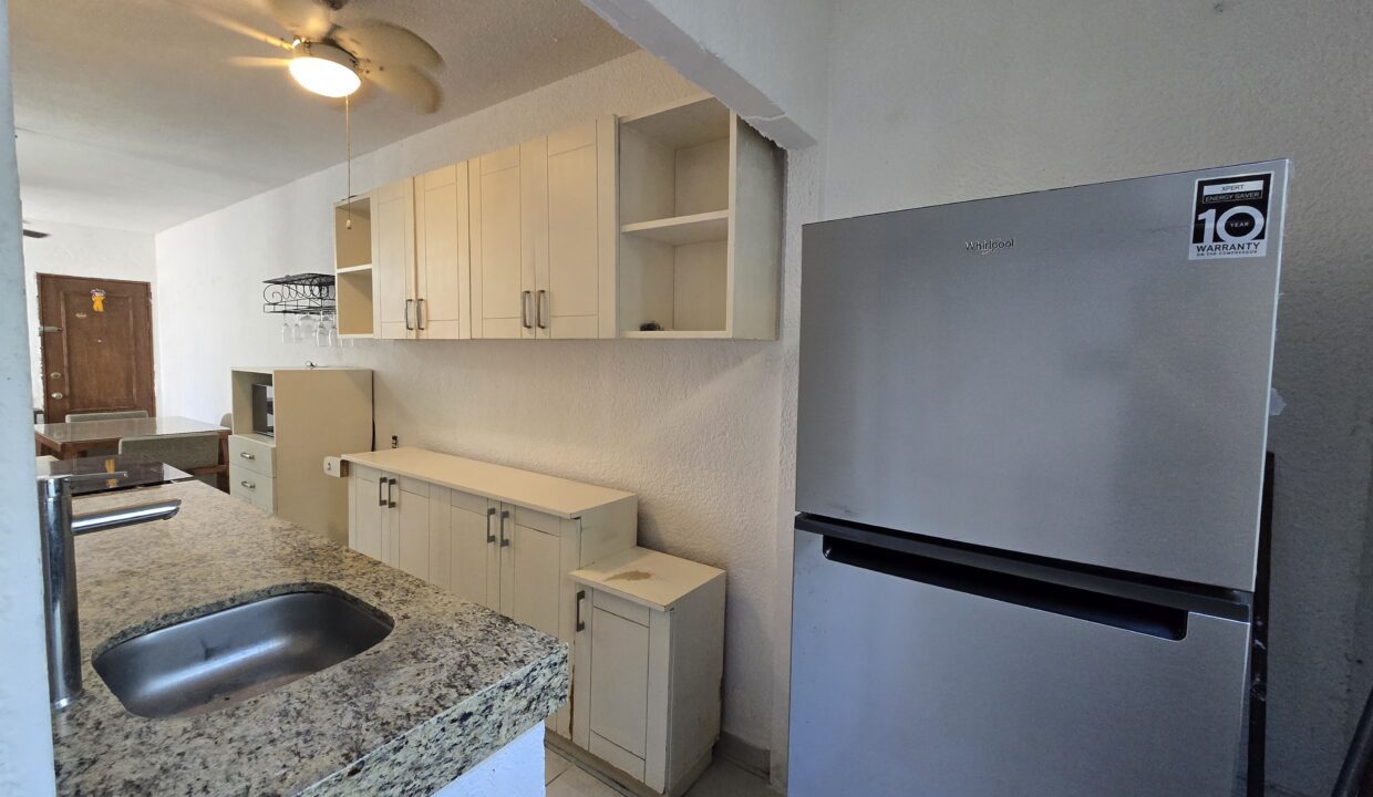 Apartment Vta 750 - For Rent Puerto Vallarta Dream Rentals Budget (6)