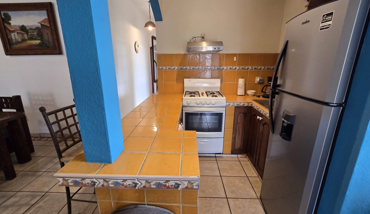 Apartment Max 4 - 5 de Diciembre Vallarta Dream (7)
