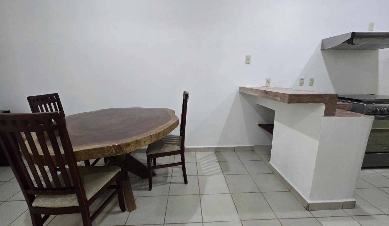 Apartment Buenos Aires 2 - 2025 For Rent Vallarta Dream (7)