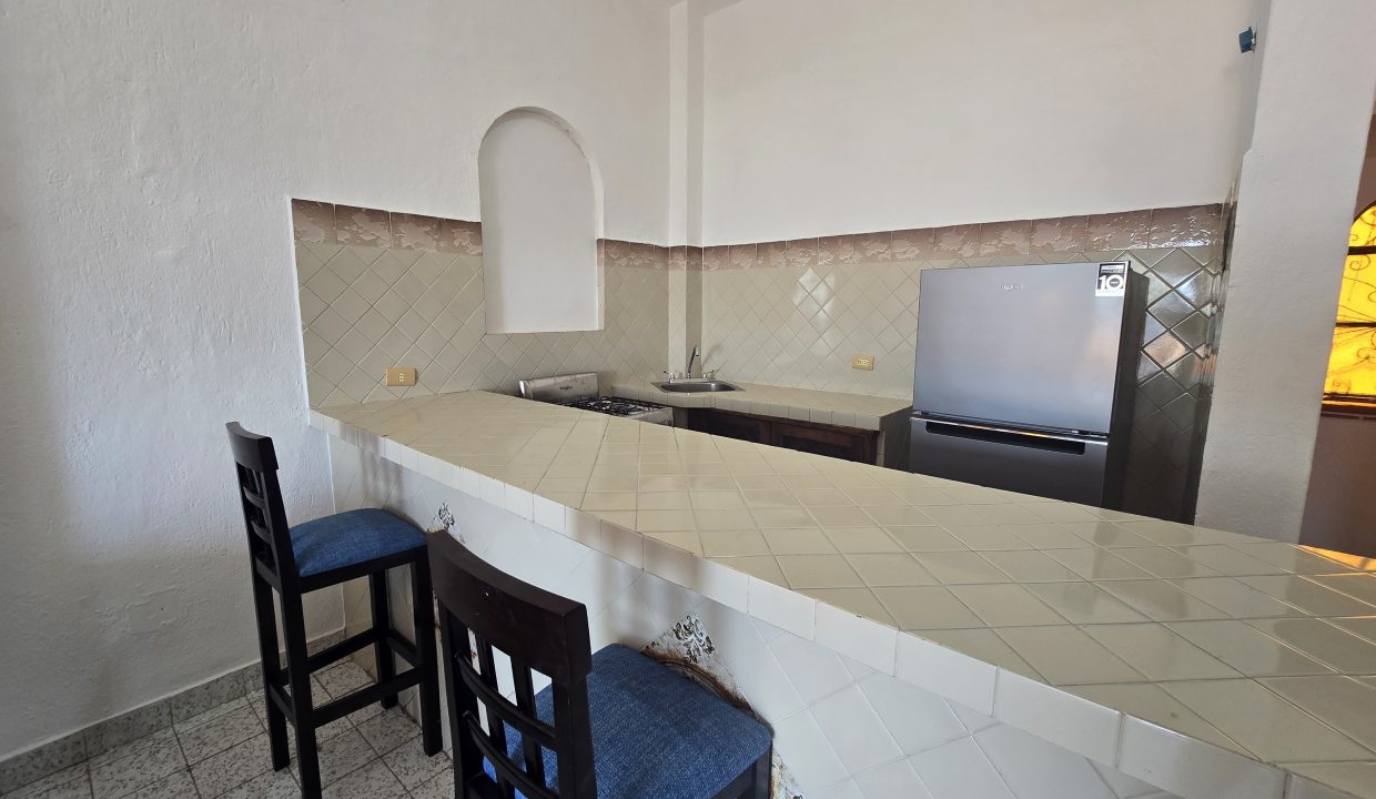 Studio Cortes - Centro Puerto Vallarta Dream Rental Long Term (1)