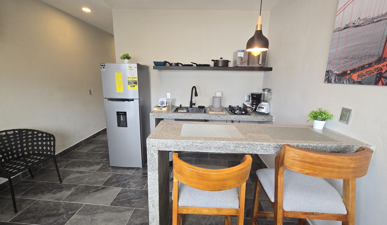 Apartment Ecuador - 5 de Diciembre For Rent Vallarta Dream (1)