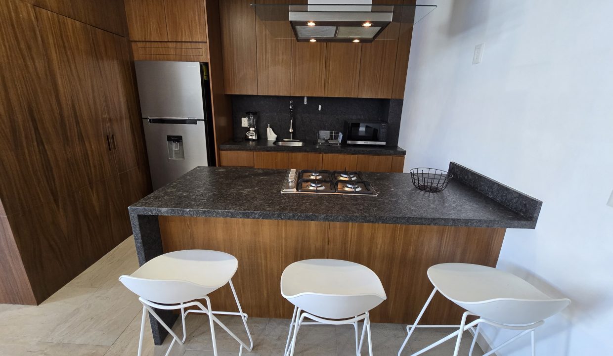 Condo AlmaTerra 3 - For Rent 5 de Diciembre Vallarta Dream Rentals (11)