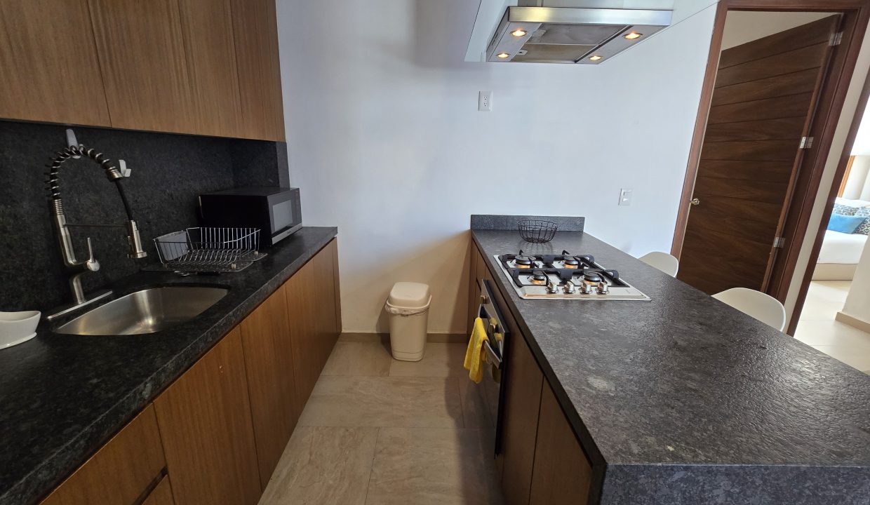 Condo AlmaTerra 3 - For Rent 5 de Diciembre Vallarta Dream Rentals (13)