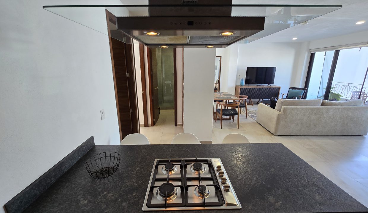 Condo AlmaTerra 3 - For Rent 5 de Diciembre Vallarta Dream Rentals (14)