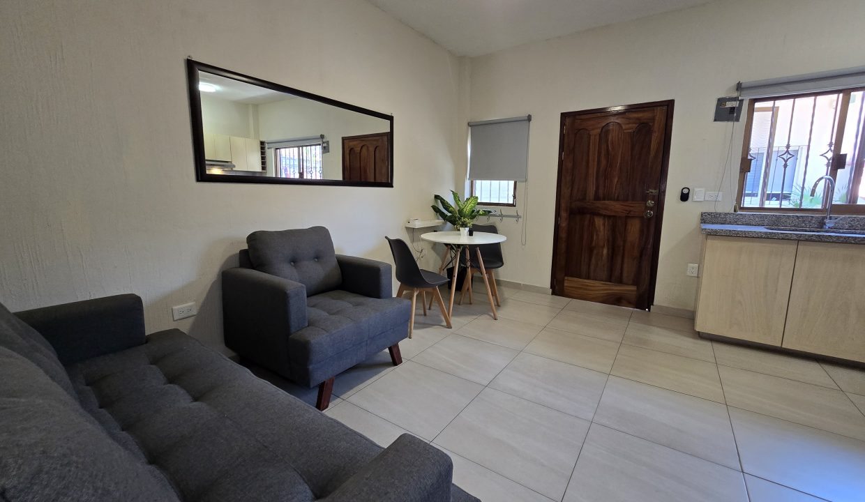 Apartment Belice 2 - Puerto Vallarta Dream Rentals 5 de Diciembre Furnished (10)