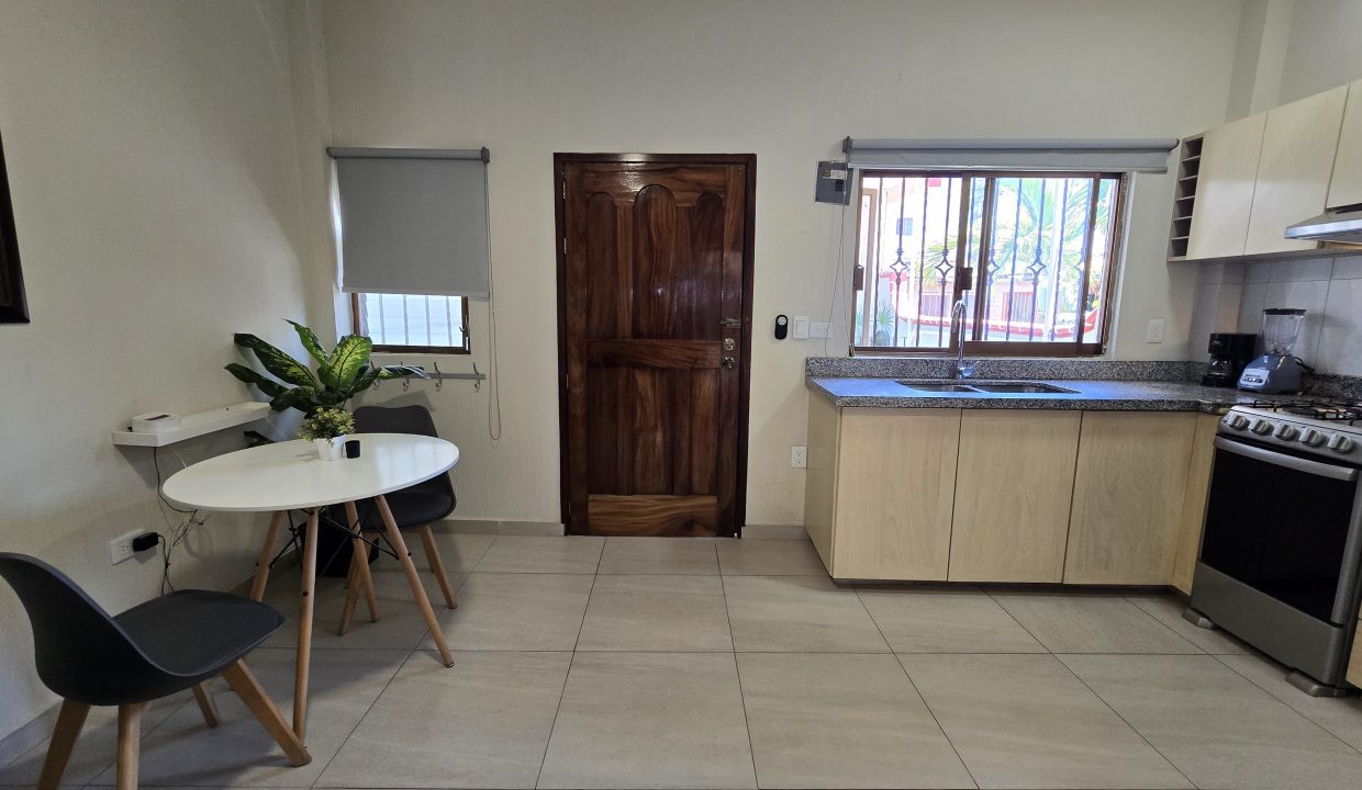 Apartment Belice 2 - Puerto Vallarta Dream Rentals 5 de Diciembre Furnished (4)