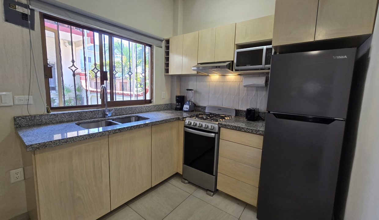 Apartment Belice 2 - Puerto Vallarta Dream Rentals 5 de Diciembre Furnished (5)