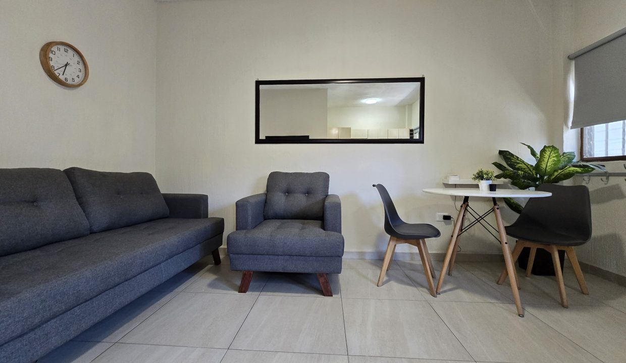 Apartment Belice 2 - Puerto Vallarta Dream Rentals 5 de Diciembre Furnished (6)