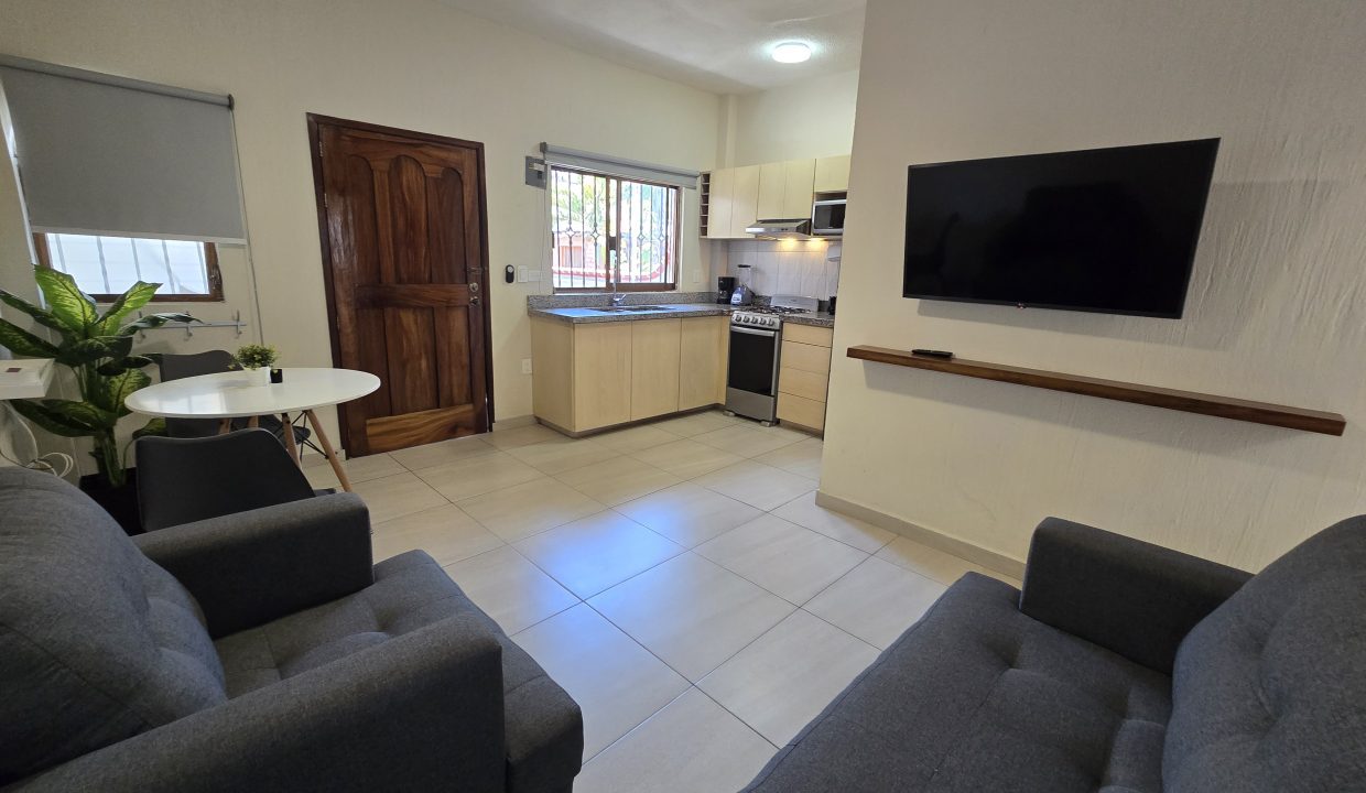 Apartment Belice 2 - Puerto Vallarta Dream Rentals 5 de Diciembre Furnished (7)
