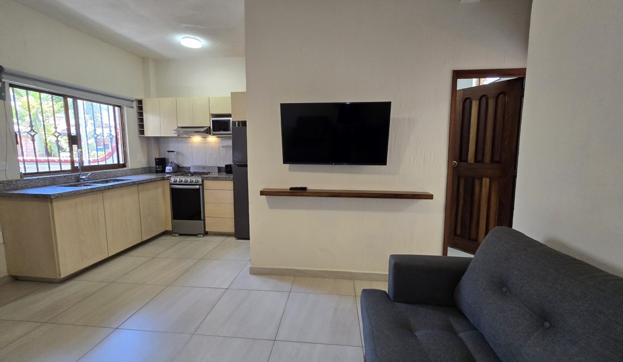 Apartment Belice 2 - Puerto Vallarta Dream Rentals 5 de Diciembre Furnished (8)