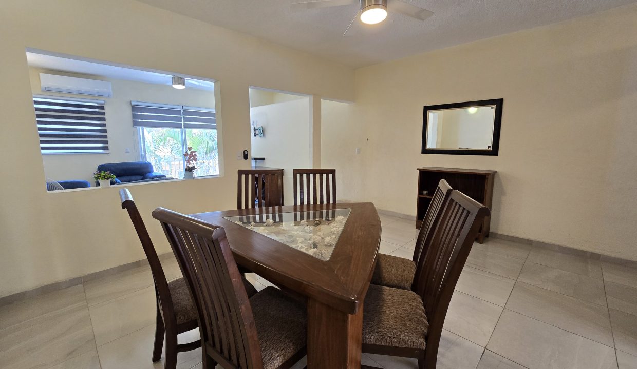 Casa Costa Rica - Puerto Vallarta Dream Rentals 5 de Diciembre (19)