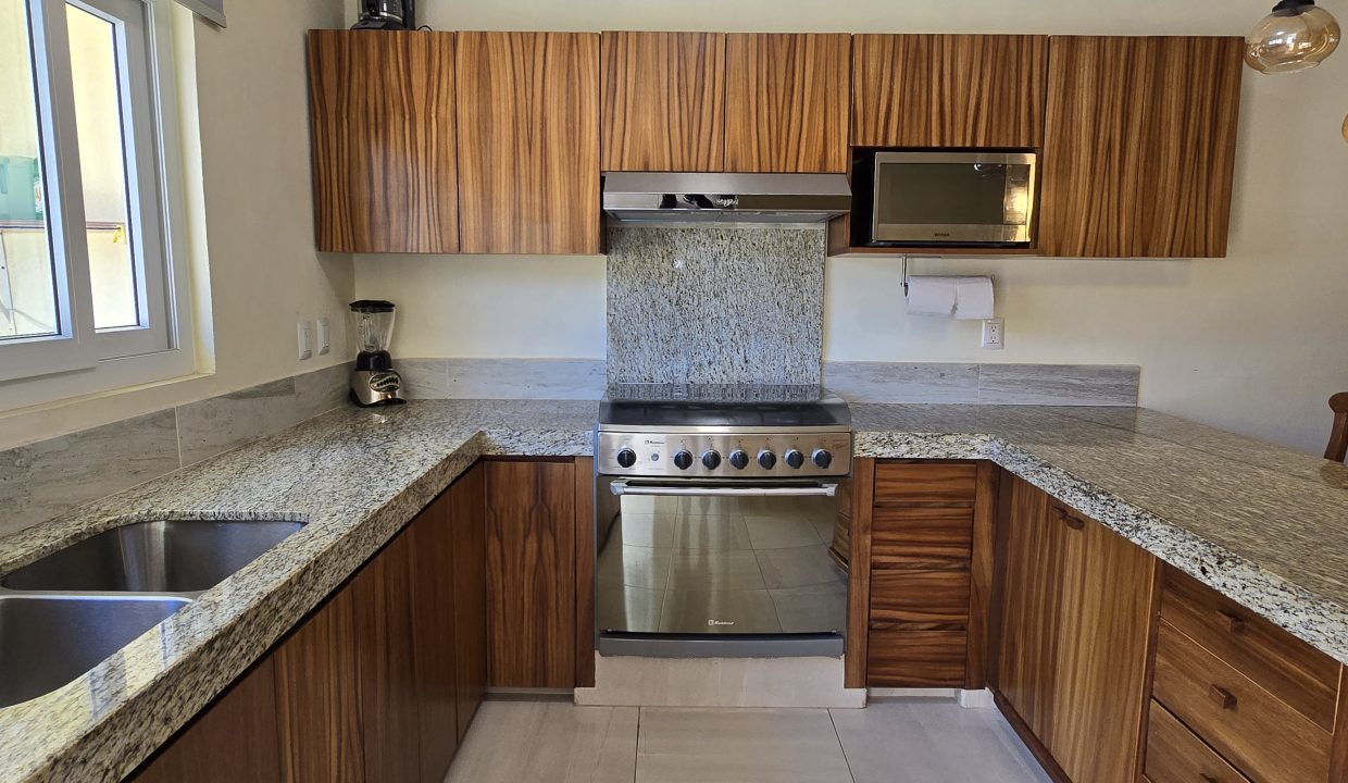 Casa Costa Rica - Puerto Vallarta Dream Rentals 5 de Diciembre (2)