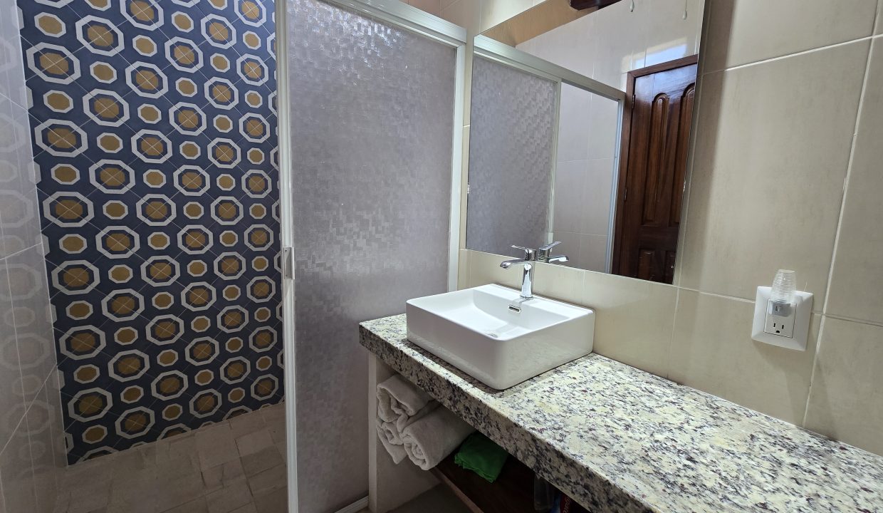Casa Costa Rica - Puerto Vallarta Dream Rentals 5 de Diciembre (27)