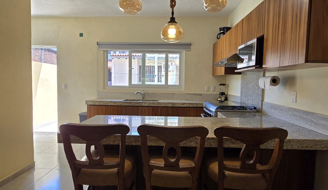 Casa Costa Rica - Puerto Vallarta Dream Rentals 5 de Diciembre (3)