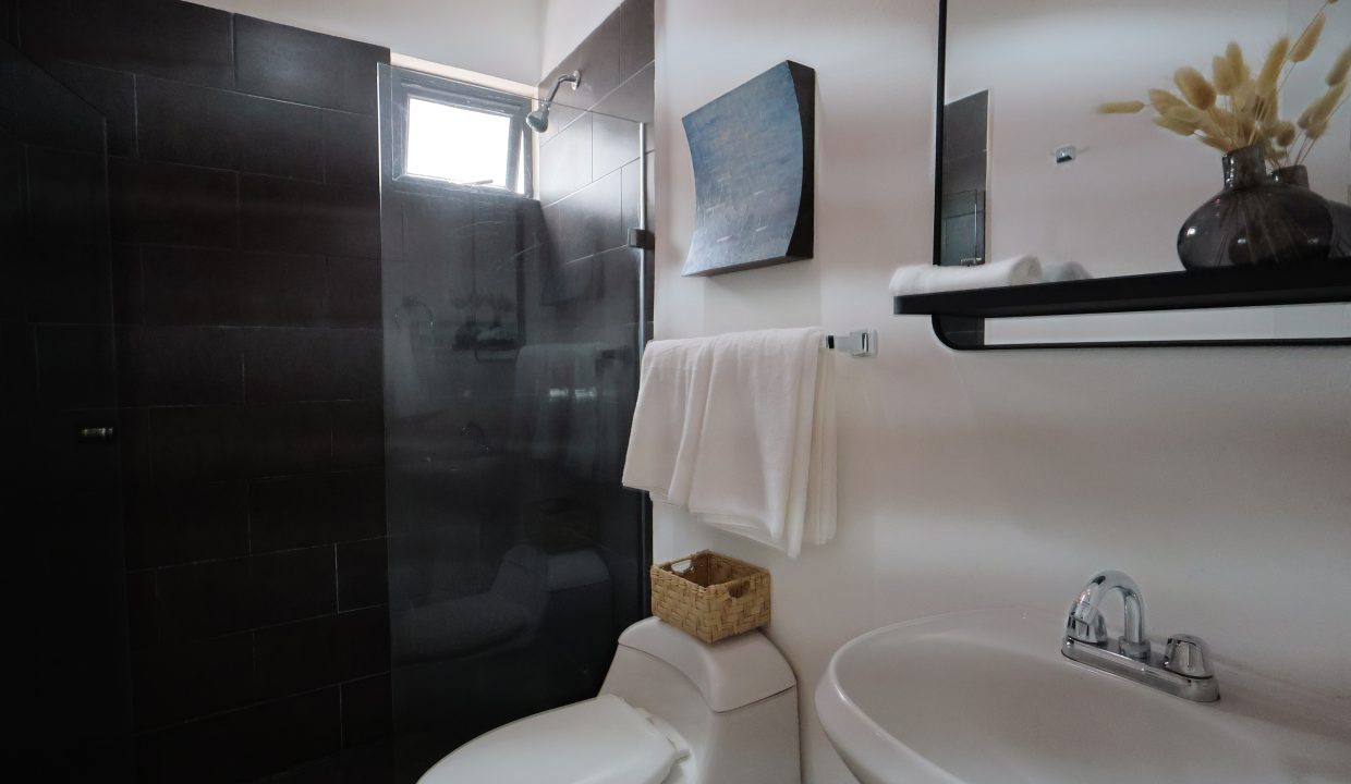 Condo Bambu 1 - 2BD 2BA Furnished Puerto Vallarta Dream Rentals (20)